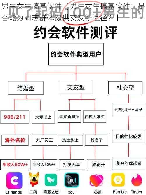 男生女生搞基软件【男生女生搞基软件：是否能为同志群体提供交友新途径？】