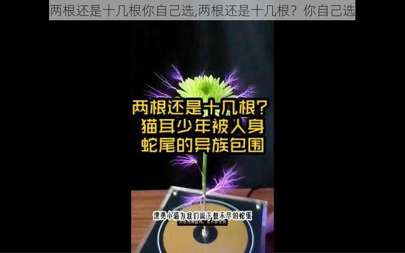 两根还是十几根你自己选,两根还是十几根？你自己选