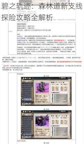 碧之轨迹：森林道新支线探险攻略全解析
