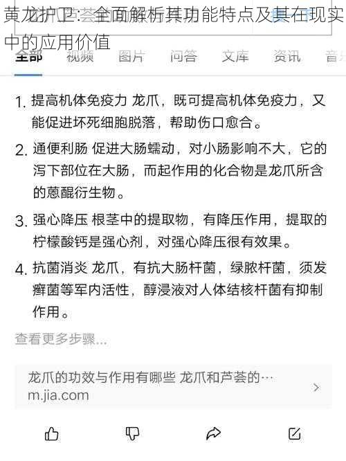 黄龙护卫：全面解析其功能特点及其在现实中的应用价值