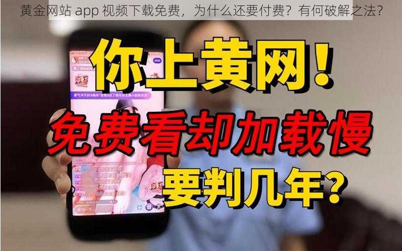 黄金网站 app 视频下载免费，为什么还要付费？有何破解之法？