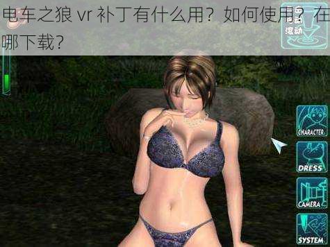 电车之狼 vr 补丁有什么用？如何使用？在哪下载？