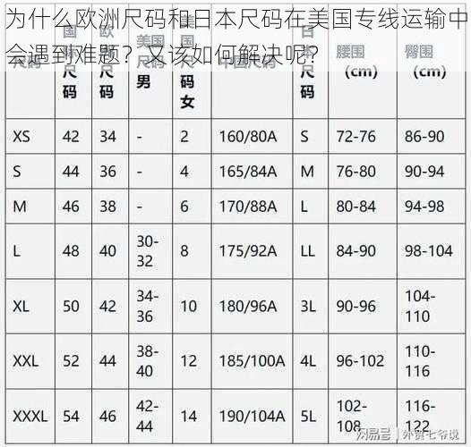 为什么欧洲尺码和日本尺码在美国专线运输中会遇到难题？又该如何解决呢？