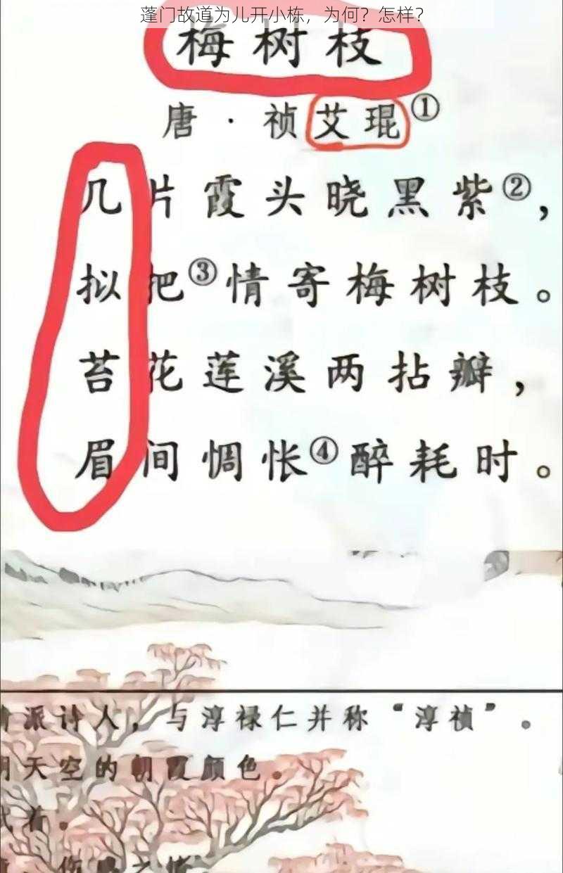 蓬门故道为儿开小栋，为何？怎样？