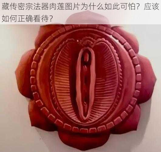 藏传密宗法器肉莲图片为什么如此可怕？应该如何正确看待？