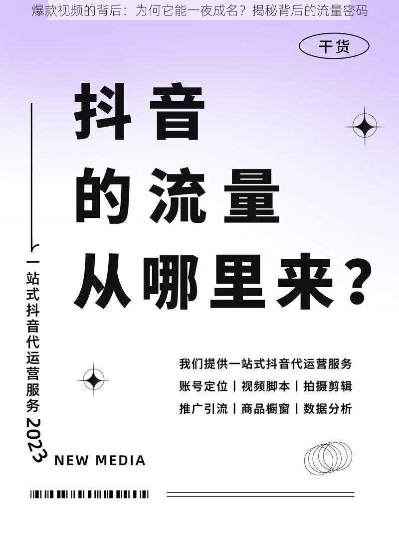 爆款视频的背后：为何它能一夜成名？揭秘背后的流量密码