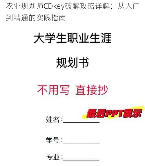 农业规划师CDkey破解攻略详解：从入门到精通的实践指南