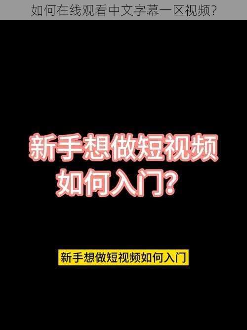 如何在线观看中文字幕一区视频？