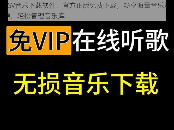 PSV音乐下载软件：官方正版免费下载，畅享海量音乐资源，轻松管理音乐库