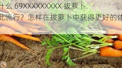 为什么 69XXXXXXXXX 拔萝卜如此流行？怎样在拔萝卜中获得更好的体验？