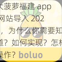 大菠萝福建 app 网站导入 2021，为什么你需要知道？如何实现？怎样操作？