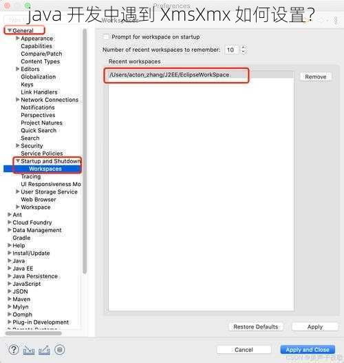 java 开发中遇到 XmsXmx 如何设置？