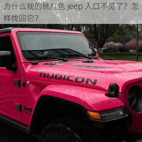 为什么我的桃红色 jeep 入口不见了？怎样找回它？