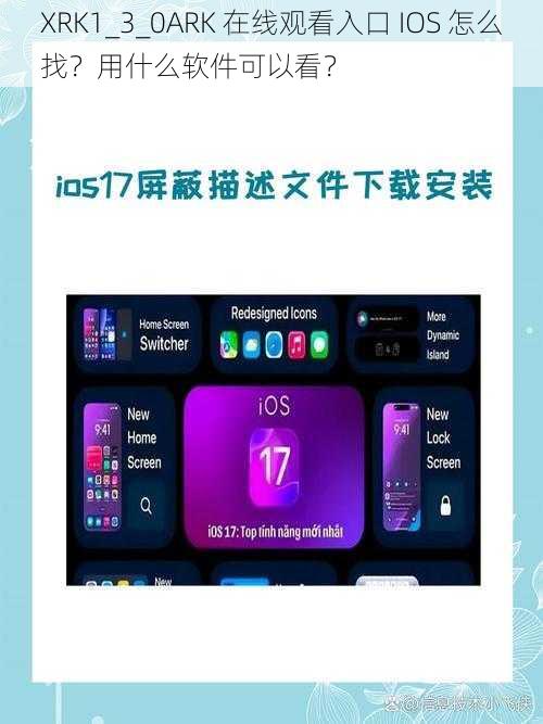 XRK1_3_0ARK 在线观看入口 IOS 怎么找？用什么软件可以看？